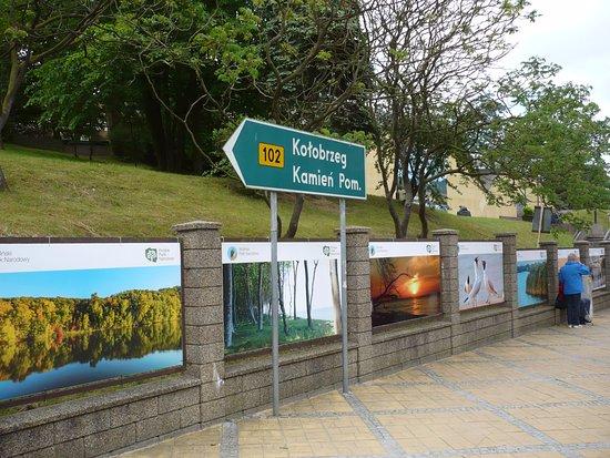 Natural History Museum of Wolin National Park